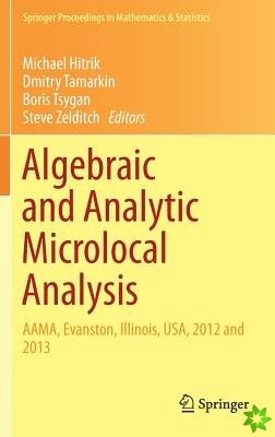 Algebraic and Analytic Microlocal Analysis
