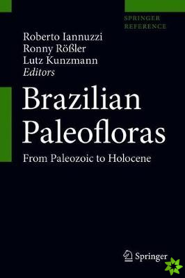 Brazilian Paleofloras