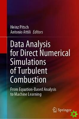 Data Analysis for Direct Numerical Simulations of Turbulent Combustion
