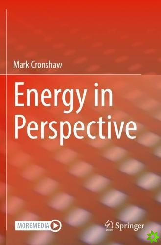 Energy in Perspective