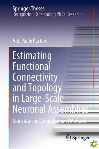 Estimating Functional Connectivity and Topology in Large-Scale Neuronal Assemblies