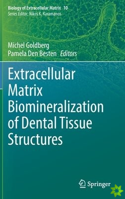 Extracellular Matrix Biomineralization of Dental Tissue Structures
