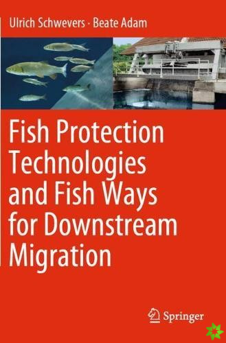 Fish Protection Technologies and Fish Ways for Downstream Migration