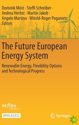 Future European Energy System