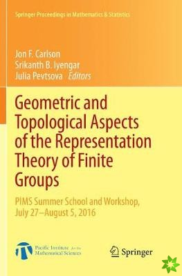 Geometric and Topological Aspects of the Representation Theory of Finite Groups
