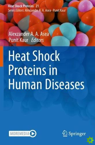 Heat Shock Proteins in Human Diseases