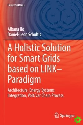 Holistic Solution for Smart Grids based on LINK Paradigm