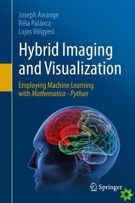 Hybrid Imaging and Visualization