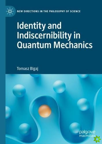 Identity and Indiscernibility in Quantum Mechanics