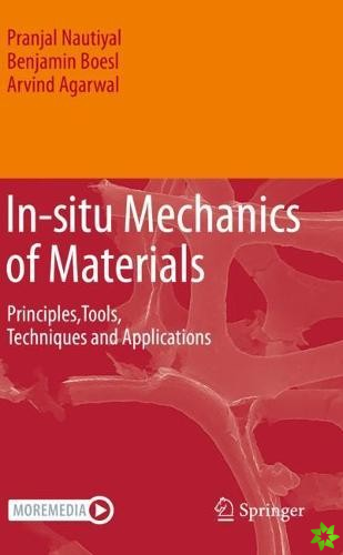 In-situ Mechanics of Materials