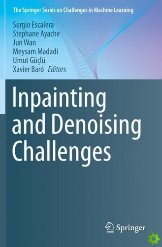 Inpainting and Denoising Challenges