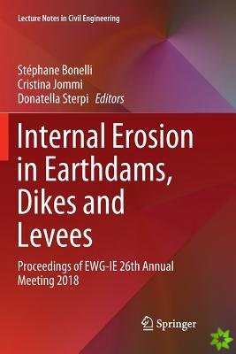 Internal Erosion in Earthdams, Dikes and Levees