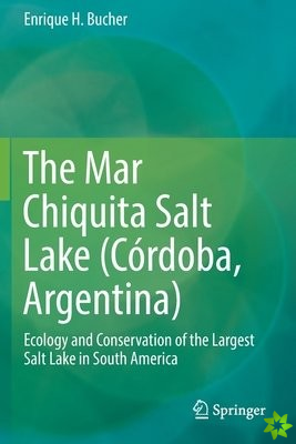 Mar Chiquita Salt Lake (Cordoba, Argentina)