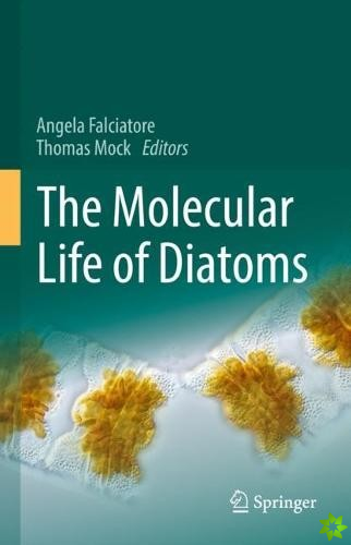 Molecular Life of Diatoms