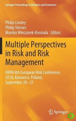 Multiple Perspectives in Risk and Risk Management
