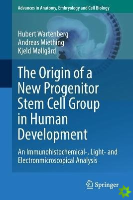 Origin of a New Progenitor Stem Cell Group in Human Development