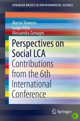Perspectives on Social LCA