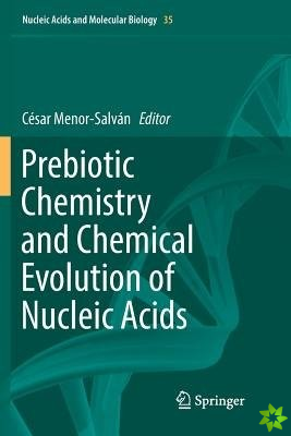 Prebiotic Chemistry and Chemical Evolution of Nucleic Acids