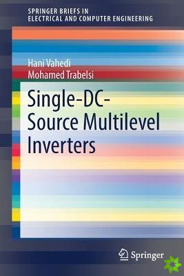 Single-DC-Source Multilevel Inverters