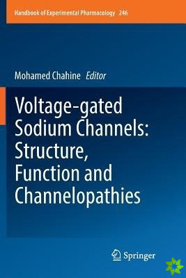 Voltage-gated Sodium Channels: Structure, Function and Channelopathies