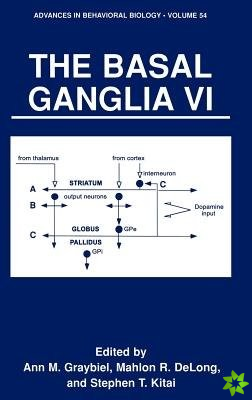 Basal Ganglia VI