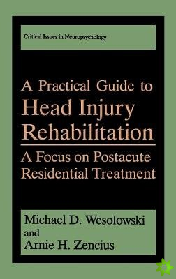 Practical Guide to Head Injury Rehabilitation