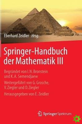 Springer-Handbuch Der Mathematik III