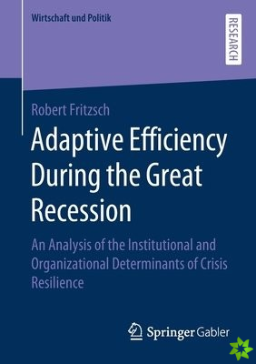 Adaptive Efficiency During the Great Recession