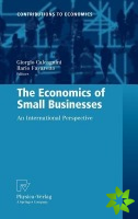 Economics of Small Businesses