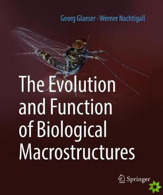 Evolution and Function of Biological Macrostructures