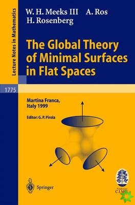 Global Theory of Minimal Surfaces in Flat Spaces