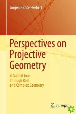 Perspectives on Projective Geometry