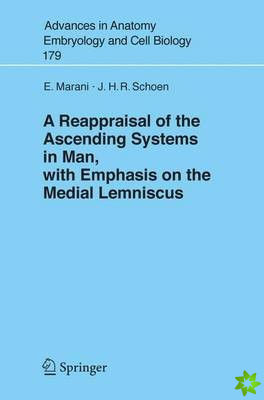 Reappraisal of the Ascending Systems in Man, with Emphasis on the Medial Lemniscus