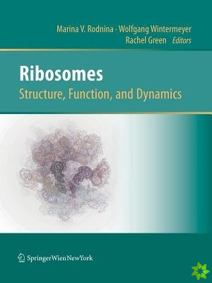 Ribosomes Structure, Function, and Dynamics