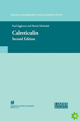 Calreticulin