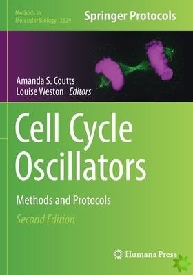 Cell Cycle Oscillators