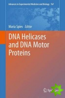 DNA Helicases and DNA Motor Proteins
