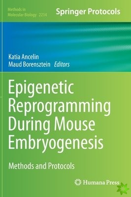 Epigenetic Reprogramming During Mouse Embryogenesis
