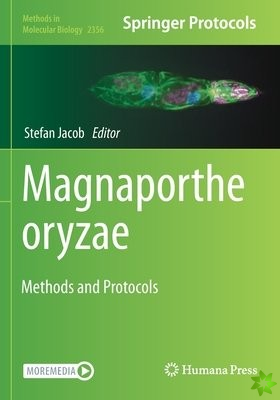 Magnaporthe oryzae
