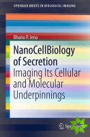 NanoCellBiology of Secretion