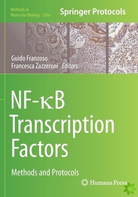 NF- B Transcription Factors