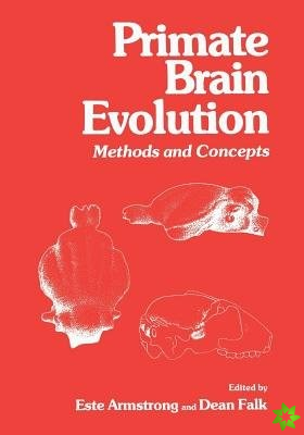 Primate Brain Evolution