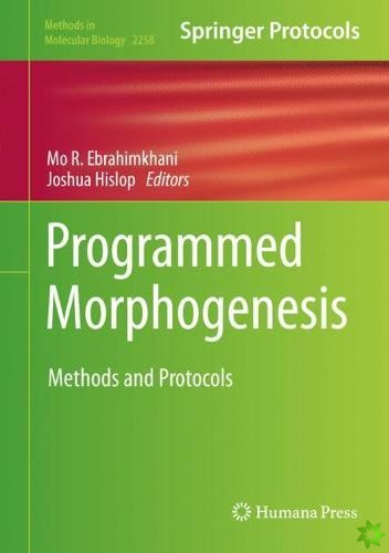 Programmed Morphogenesis