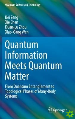 Quantum Information Meets Quantum Matter