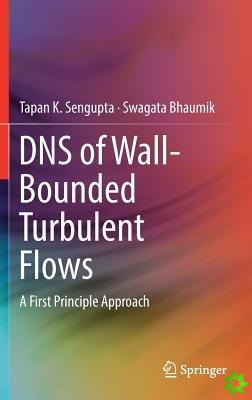 DNS of Wall-Bounded Turbulent Flows