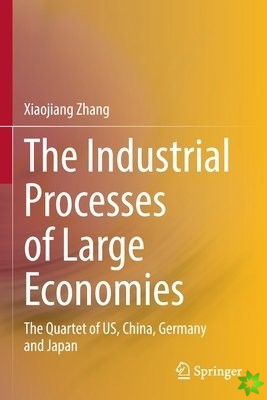 Industrial Processes of Large Economies
