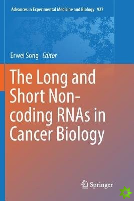 Long and Short Non-coding RNAs in Cancer Biology