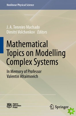 Mathematical Topics on Modelling Complex Systems