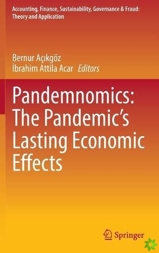 Pandemnomics: The Pandemic's Lasting Economic Effects
