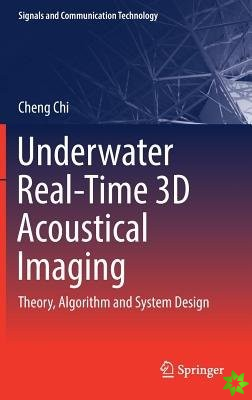 Underwater Real-Time 3D Acoustical Imaging